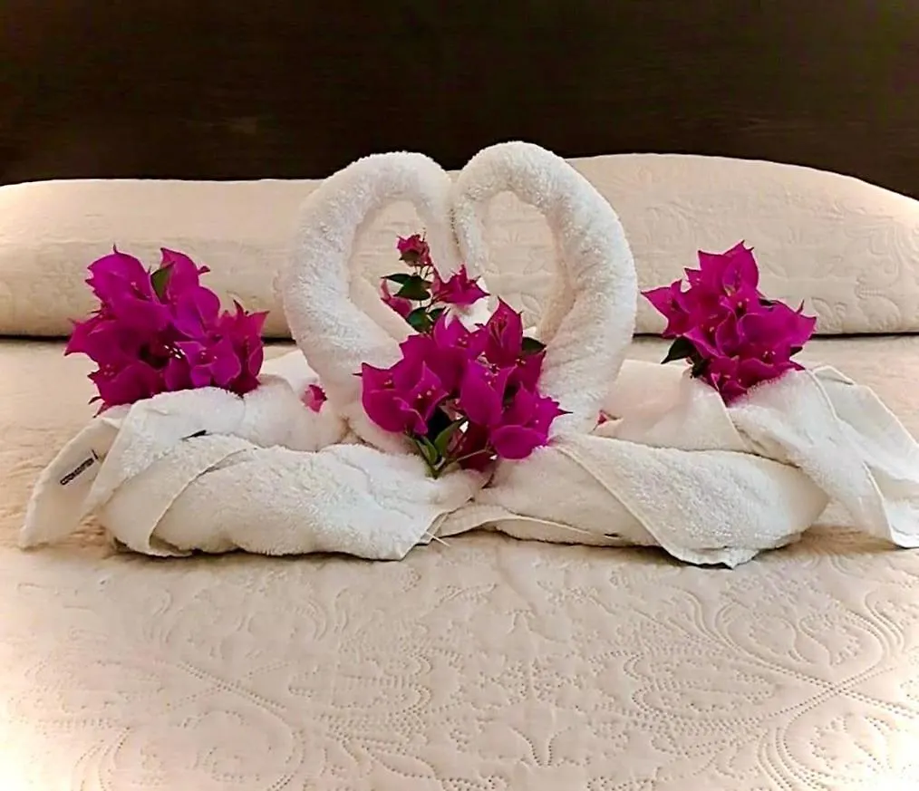Hotel Des Mimosas Juan-les-Pins 3*,  France